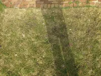 IMG_20170312_112426 - Kopie.webp
