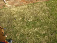 IMG_20170312_112430 - Kopie.webp