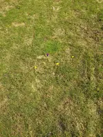 IMG_20170312_112438 - Kopie.webp
