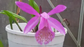 20170319_110134.jpg