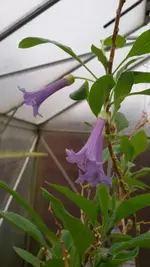 20170319_110242.webp