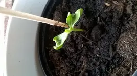 WP_20170319_003[173].webp