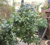 IMG_7417.webp