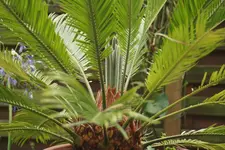 _MG_1690-001.webp
