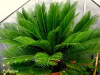 IMG_7349.webp