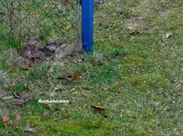 P1000300.webp
