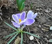 DSC09039.webp