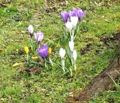 100_3669.webp