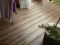 P1600511.webp