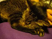 IMGP4706.webp