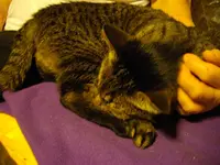 IMGP4705.webp