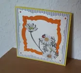 8.mä 041.jpg