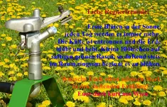 SR 15e mit grünrn Schlitten.webp