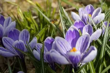 _DSC1315.webp