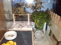 400_3265643765346638.webp