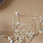 Kirschblüten.webp