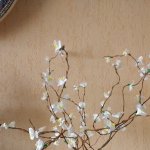 Kirschblüten.jpg