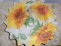 DSCI0947.webp