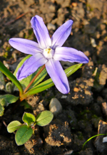 P1130344.webp