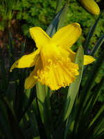 P1130346.webp