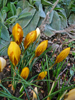 P1130357.webp