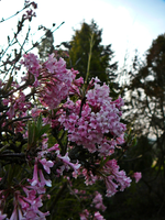 P1130355.JPG