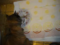 IMGP4724.webp