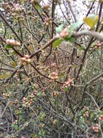 IMG_20170319_104436.webp