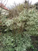IMG_20170319_104440.webp