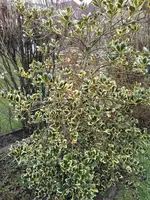 IMG_20170319_104444.webp