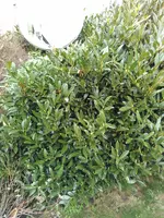 IMG_20170319_104507.webp