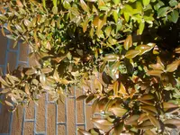DSC03981.webp