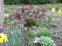 IMG_7689.webp