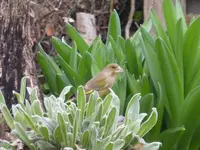 P1300018.webp