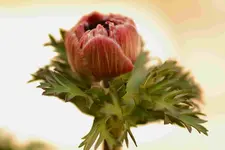 2017-03-24-0902.webp
