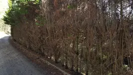 20170310_145829.jpg