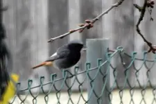 DSCN4308.webp