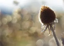 20170308-1 (11).webp