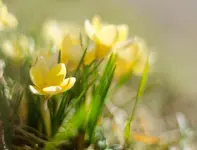 20170308-1 (24).webp