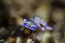 20170308-DSC_0001.webp