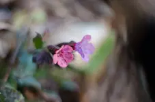 20170308-DSC_0034.webp