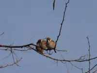 P1300138.webp