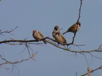 P1300146.webp