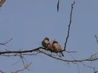 P1300150.webp