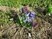 IMG_5372.webp
