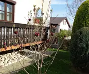DSC09080.webp
