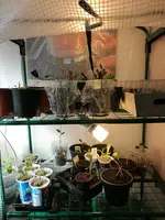 IMG_20170326_133659.webp