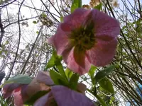 P1000406.webp