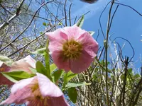 P1000415.webp