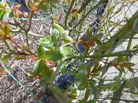 P1000427.webp
